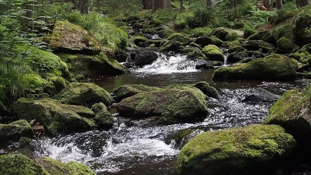 Stream flowing between rocks with authentic sound