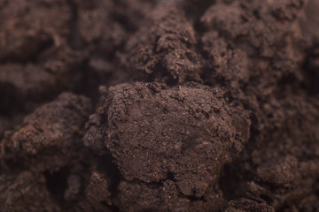 Close-up of organic soil background