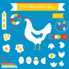 Chicken and eggs infographic set - flat design