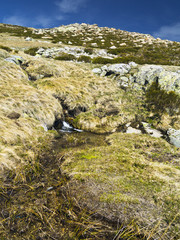 Reguero Llano. Sierra de Gredos. Avila. España