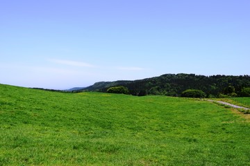 初夏の月山高原牧場の風景／山形県鶴岡市羽黒町川代にある月山高原牧場で撮影した写真です。この牧場は約100haの緑のジュウタンが広がり、雄大な高原の中で牛や羊を眺められます。高原からの眺めは最高で、ひそかな観光ポイントになっています。