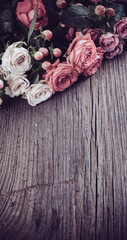 Fototapeta premium pink and beige roses