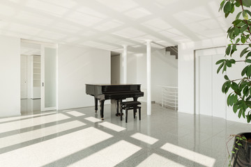 hall with grand piano