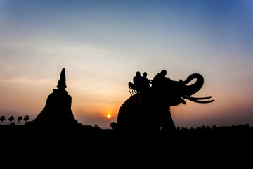 Fototapeta na wymiar Silhouette elephants and stupa in Thailand.