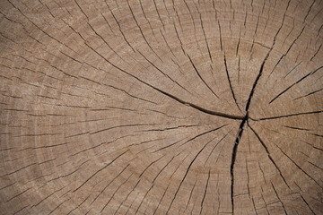 Brow cut wood