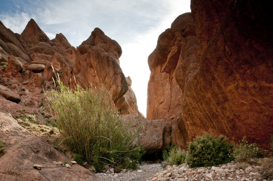 Canyon fingers monkey
is located in The Valley of Figs, the atlas mountains, morocco