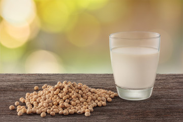 Glass of soy milk and soybean in garden background.