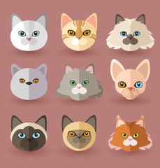Cat Breeds : Vector Illustration