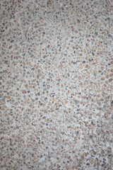 the Terrazzo Floor Background texture
