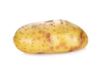 potato isolated on white background