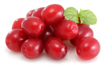 sweet dogberry