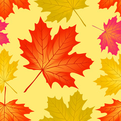 Obraz premium Seamless pattern autumn maple leaves.