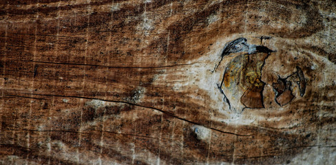 Naklejka premium Old wood background