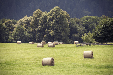 Retro toned picture of field with hay bales.