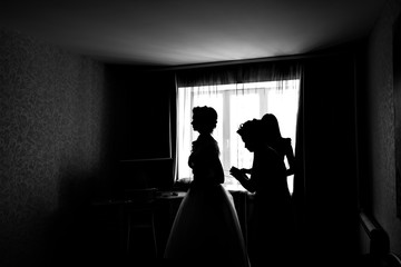 silhouette of the Bride Dresses