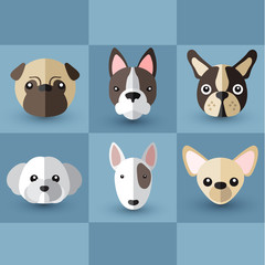 Dog Breeds : Vector Illustration
