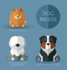 Dog Breeds : Vector Illustration