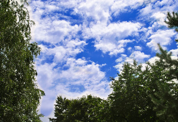 blue sky and clouds