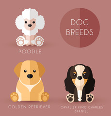 Dog Breeds : Vector Illustration