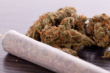 Close up of dried marijuana leaves and joint