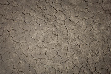 cracked  dirty ground texture