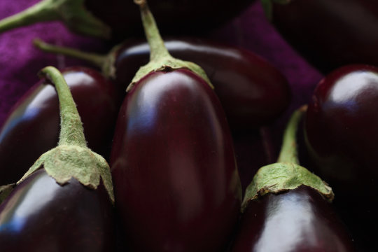 A closeup view of several fresh eggplants 