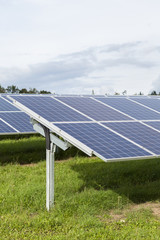 Field with blue siliciom solar cells alternative energy
