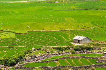 Valley among the rice terraces.