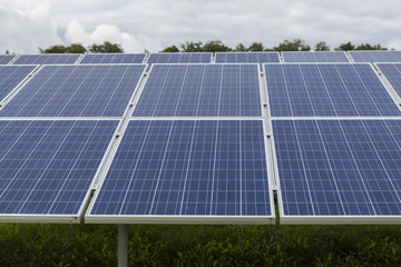 Field with blue siliciom solar cells alternative energy
