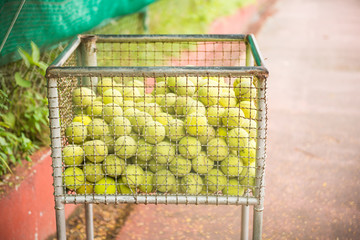 A lot of tennis balls in the basket