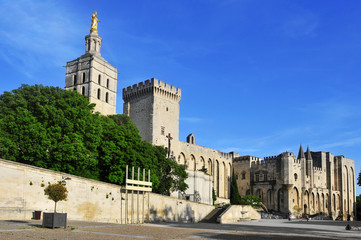 Fototapeta na wymiar Palais des Papes in Avignon, France