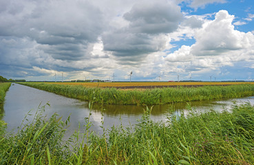 Canal through a rural landscape in summer