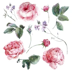 Set vintage watercolor bouquet of roses leaves branches flowers