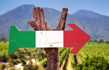 Italy Flag wooden sign with winery background