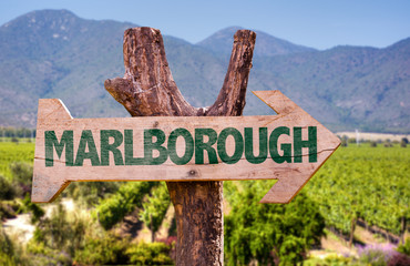 Marlborough wooden sign with winery background - obrazy, fototapety, plakaty