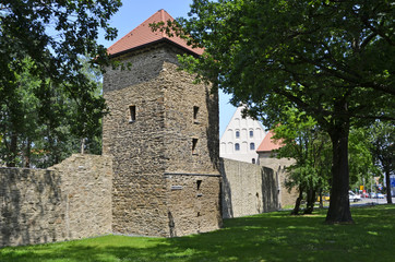 Fototapeta na wymiar Stadtmauer mit Gelber Löweturm, Freiberg