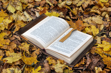 Naklejka na ściany i meble book in autumn park 
