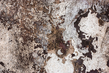 Textured walls with dirt.