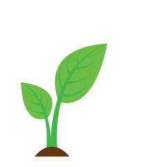 leaf icon