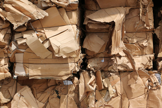 Bundles of cardboard  waste before transport to recycling plant