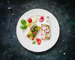 Vegan sandwiches with smashed avocado, tomatoes and radish. Top