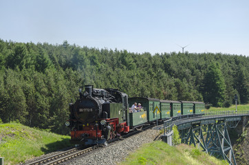 Fototapeta na wymiar Dampfzug auf dem Viadukt in Oberwiesenthal