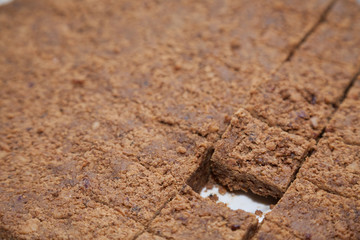 Closeup of walnut fudge with copy space