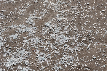 broken glass on the pavement