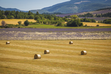 Straw bales on a field in Provence, France
