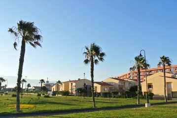 Palm lined promenade in the newly developed Andalusian seaside resort Roquetas de Mar, situated on Costa de Almeria, well-known for its huge golf course.