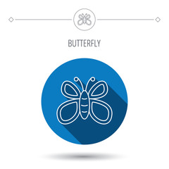 Butterfly icon. Dreaming sign.