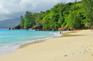 Tropical sandy beach on Seychelles islands