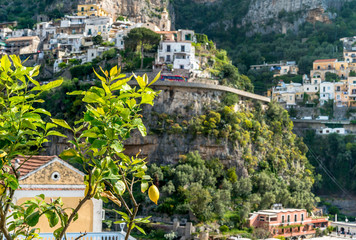 Lemon tree over Positano village, Amalfi Coast.
