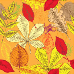 hand drawn autumn leaves pattern
